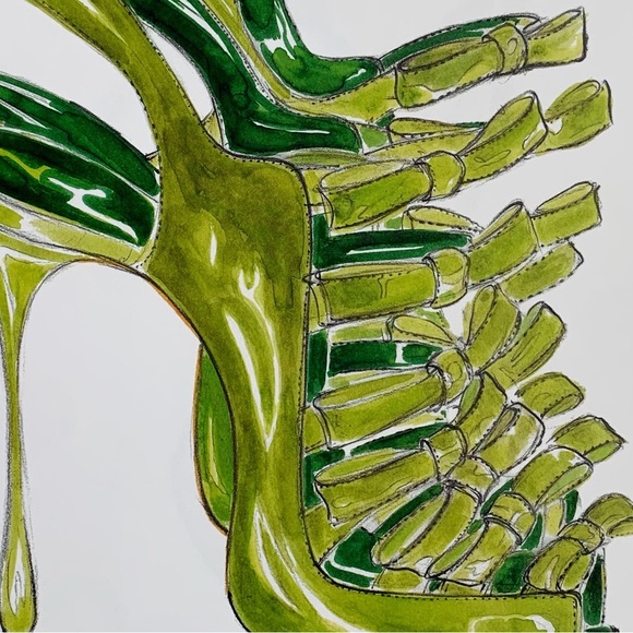 4/$20⭐️ Green Manolo Blahnik Shoe Illustration *PRINT* - Picture 2 of 8